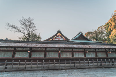 Kyoto, Japan — fine art travel photography print available from Clever Tourists