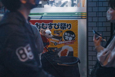 Kyoto, Japan — fine art travel photography print available from Clever Tourists