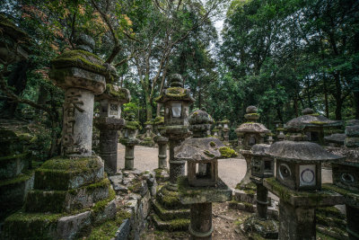 Nara, Japan — fine art travel photography print available from Clever Tourists