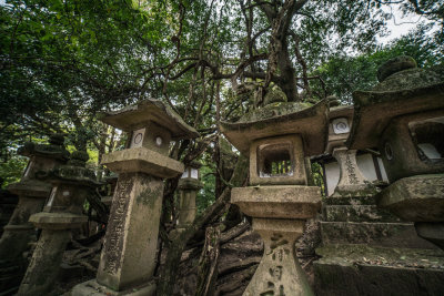 Nara, Japan — fine art travel photography print available from Clever Tourists
