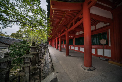 Nara, Japan — fine art travel photography print available from Clever Tourists