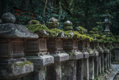 Nara, Japan — fine art travel photography print available from Clever Tourists
