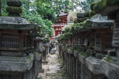 Nara, Japan — fine art travel photography print available from Clever Tourists