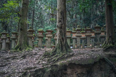 Nara, Japan — fine art travel photography print available from Clever Tourists