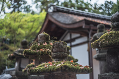 Nara, Japan — fine art travel photography print available from Clever Tourists