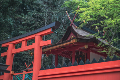 Nara, Japan — fine art travel photography print available from Clever Tourists