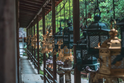 Nara, Japan — fine art travel photography print available from Clever Tourists