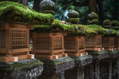 Nara, Japan — fine art travel photography print available from Clever Tourists