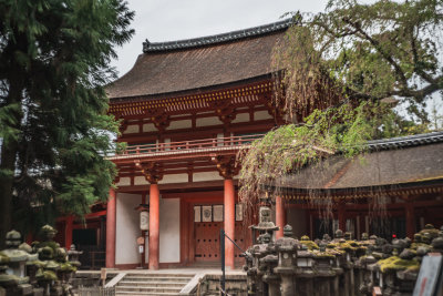 Nara, Japan — fine art travel photography print available from Clever Tourists