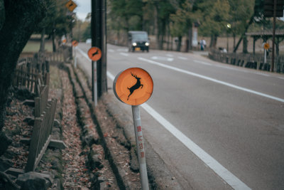 Nara, Japan — fine art travel photography print available from Clever Tourists