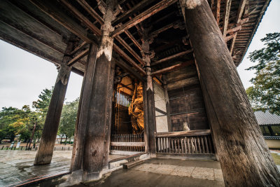 Nara, Japan — fine art travel photography print available from Clever Tourists