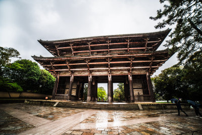 Nara, Japan — fine art travel photography print available from Clever Tourists