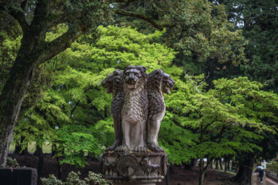 Nara, Japan — fine art travel photography print available from Clever Tourists