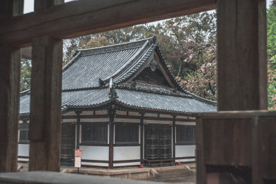 Nara, Japan — fine art travel photography print available from Clever Tourists