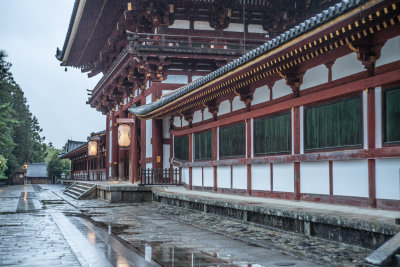 Nara, Japan — fine art travel photography print available from Clever Tourists