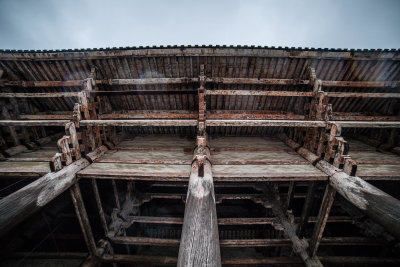 Nara, Japan — fine art travel photography print available from Clever Tourists
