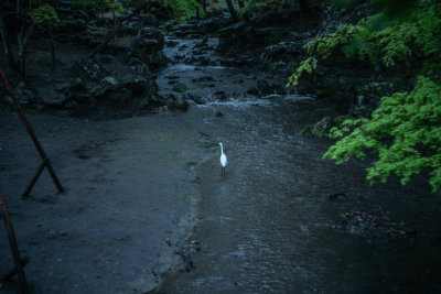 Nara, Japan — fine art travel photography print available from Clever Tourists