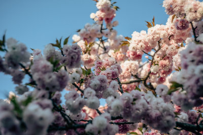 Osaka, Japan — fine art travel photography print available from Clever Tourists
