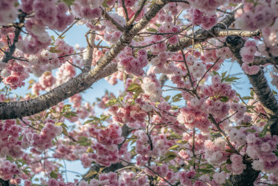 Osaka, Japan — fine art travel photography print available from Clever Tourists