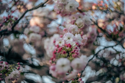 Osaka, Japan — fine art travel photography print available from Clever Tourists