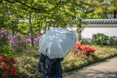 Himeji, Japan — fine art travel photography print available from Clever Tourists