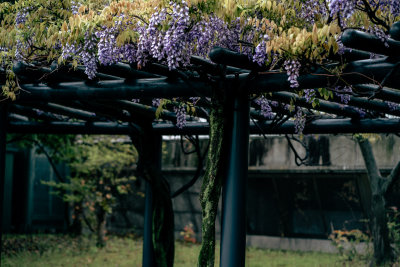 Tokyo, Japan — fine art travel photography print available from Clever Tourists
