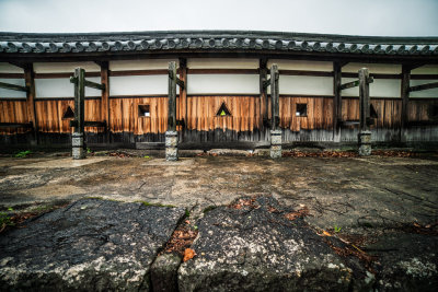Tokyo, Japan — fine art travel photography print available from Clever Tourists