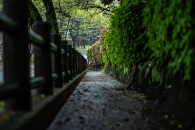 Tokyo, Japan — fine art travel photography print available from Clever Tourists