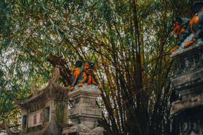 Hanoi, Vietnam — fine art travel photography print available from Clever Tourists