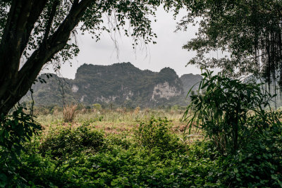 Ninh Binh, Vietnam — fine art travel photography print available from Clever Tourists