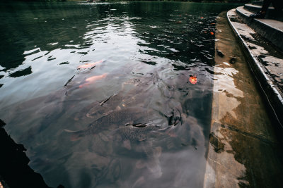 Ninh Binh, Vietnam — fine art travel photography print available from Clever Tourists
