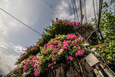 Hoi An, Vietnam — fine art travel photography print available from Clever Tourists