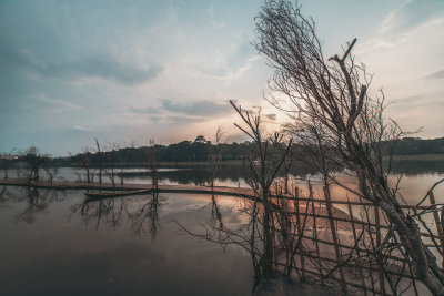 Da Lat, Vietnam — fine art travel photography print available from Clever Tourists