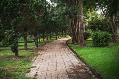 Da Lat, Vietnam — fine art travel photography print available from Clever Tourists