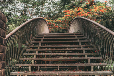 Da Lat, Vietnam — fine art travel photography print available from Clever Tourists