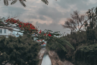 Da Lat, Vietnam — fine art travel photography print available from Clever Tourists