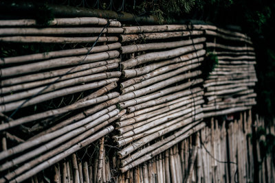 Da Lat, Vietnam — fine art travel photography print available from Clever Tourists
