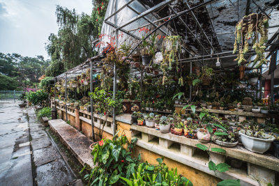Da Lat, Vietnam — fine art travel photography print available from Clever Tourists