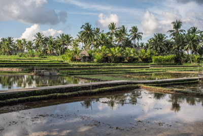 Ubud, Indonesia — fine art travel photography print available from Clever Tourists