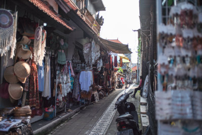 Ubud, Indonesia — fine art travel photography print available from Clever Tourists