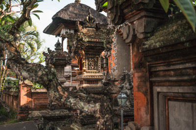 Ubud, Indonesia — fine art travel photography print available from Clever Tourists