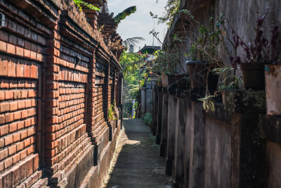 Ubud, Indonesia — fine art travel photography print available from Clever Tourists