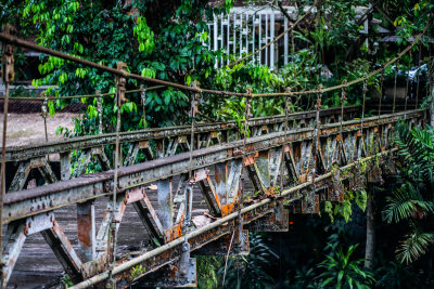 Ubud, Indonesia — fine art travel photography print available from Clever Tourists