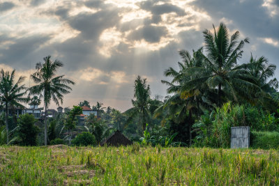 Ubud, Indonesia — fine art travel photography print available from Clever Tourists