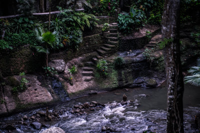 Ubud, Indonesia — fine art travel photography print available from Clever Tourists