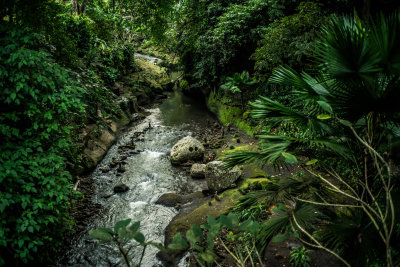 Ubud, Indonesia — fine art travel photography print available from Clever Tourists