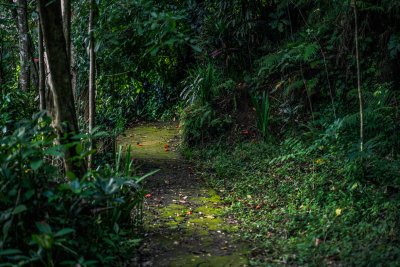 Ubud, Indonesia — fine art travel photography print available from Clever Tourists