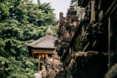 Ubud, Indonesia — fine art travel photography print available from Clever Tourists