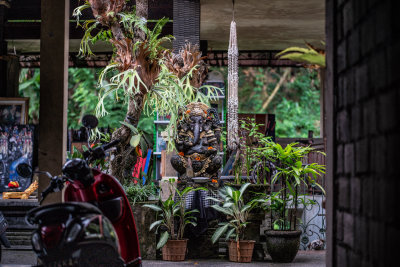 Ubud, Indonesia — fine art travel photography print available from Clever Tourists