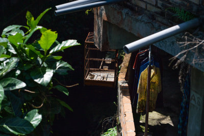Ubud, Indonesia — fine art travel photography print available from Clever Tourists